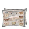 Coussin Butterfly Studies Parchment, John Derian