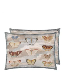 Coussin Butterfly Studies Parchment, John Derian