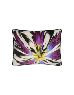 Coussin Eclosion, Christian Lacroix -Deco En Ligne Magasin coussin eclosion christian lacroix 3