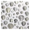 Papier Peint Captain Thomas Browns Shells Oyster, John Dorian