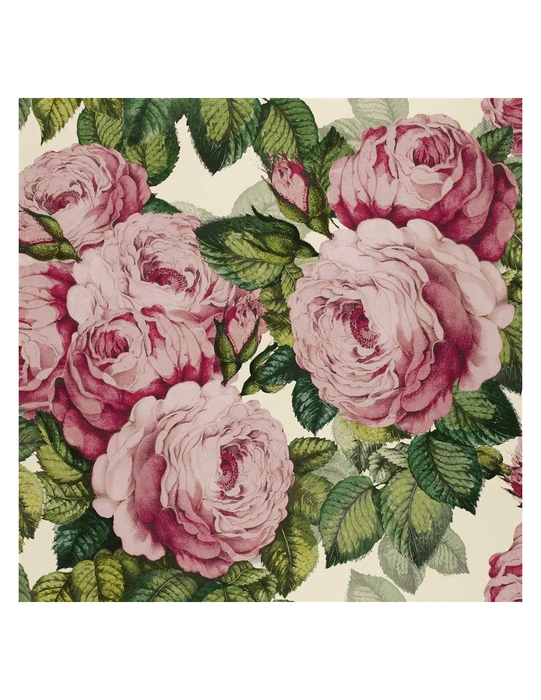 Papier peint The Rose Tuberose, John Dorian Papier Peint The Rose Tuberose, John Dorian -Deco En Ligne Magasin papier peint the rose tuberose john dorian