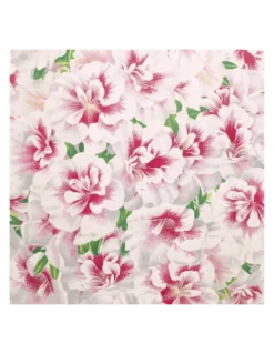 Papier Peint Variegated Azalea Azalea, John Dorian