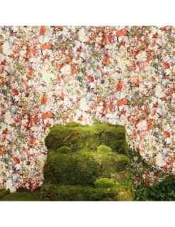 Papier Peint Vinyle Celebration, Jean Paul Gaultier -Deco En Ligne Magasin papier peint vinyle celebration jean paul gaultier 2