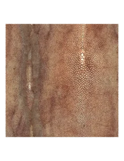 Papier Peint Vinyle Précieux Cuivre, Jean Paul Gaultier