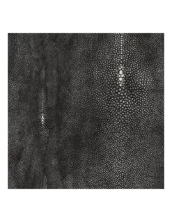 Papier Peint Vinyle Précieux Noir, Jean Paul Gaultier