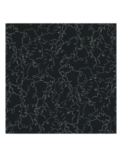 Papier Peint Vinyle Ressemblance Ardoise, Lelièvre