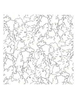 Papier Peint Vinyle Ressemblance Ivoire, Lelièvre