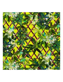 Tissu Canopy Lime, Christian Lacroix